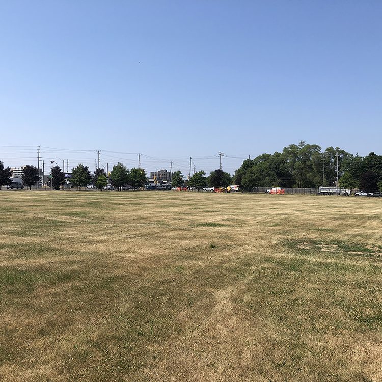 7directional_groundloop_field_webready