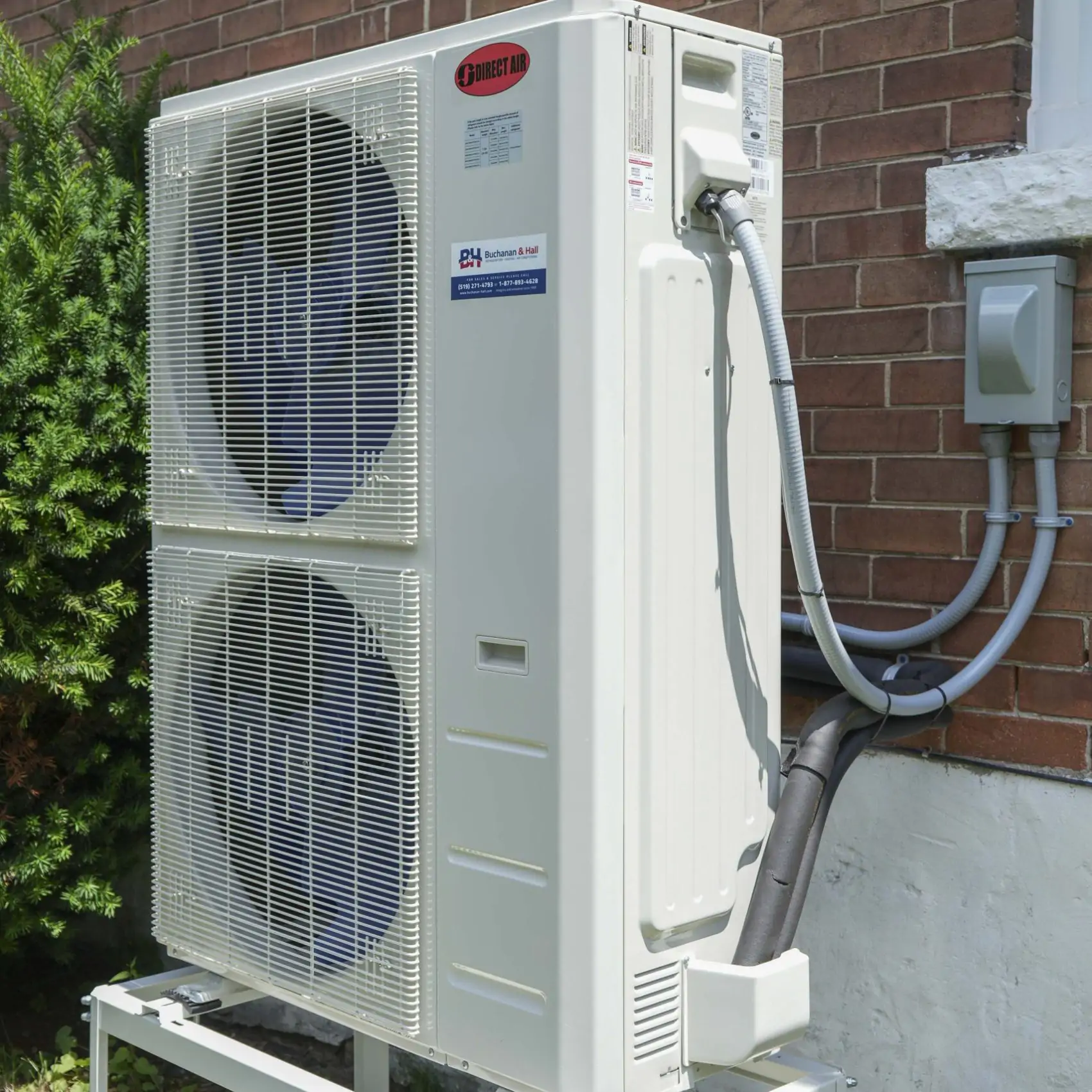 Buchanan & Hall photo 4